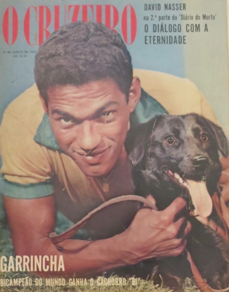 O cachorro que driblou Garrincha na Copa de 1962